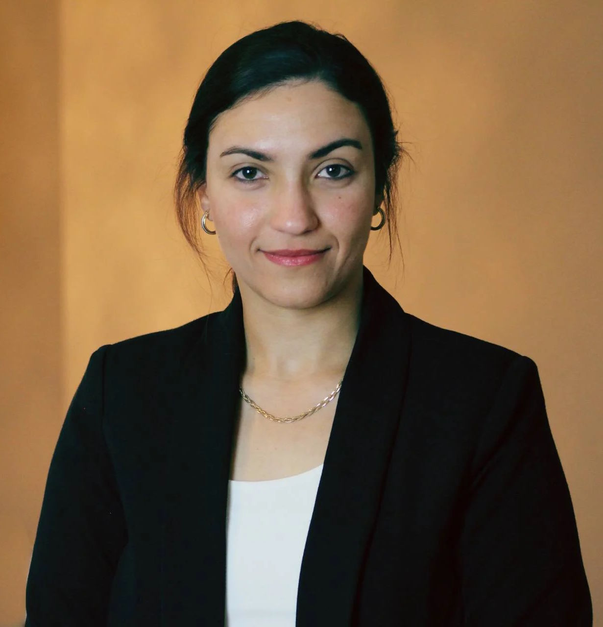 Mariana Samaan Law Firm photo